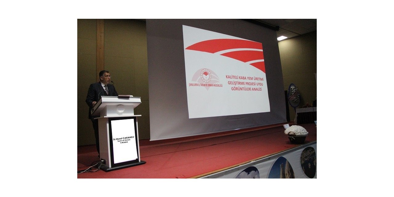 Pamukta verim düşüklüğünün nedenleri tartışıldı