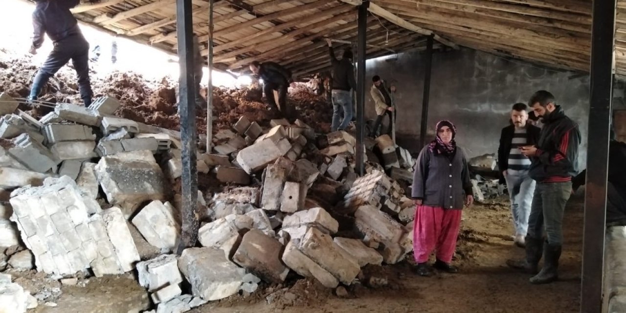 Bingöl’de heyelanda ahır çöktü, 8 inek telef oldu