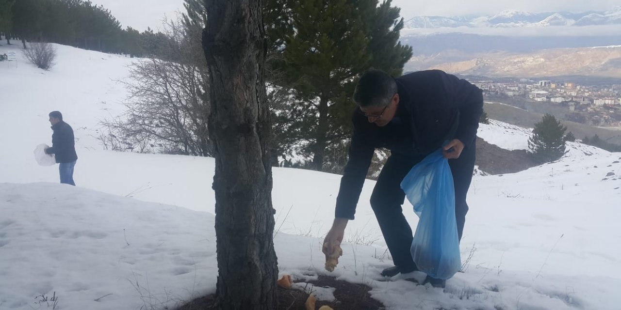 Suşehri'nde yaban hayvanları unutulmadı