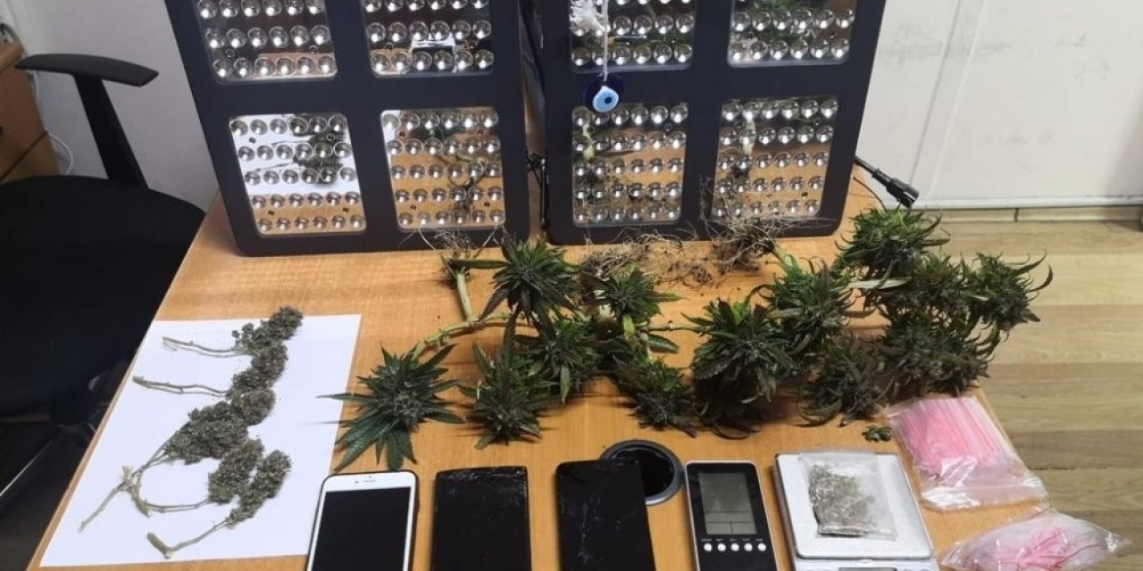 Ataşehir’de kadın çığlığı ihbarına giden polis, uyuşturucu tarlasına çevrilen evle karşılaştı