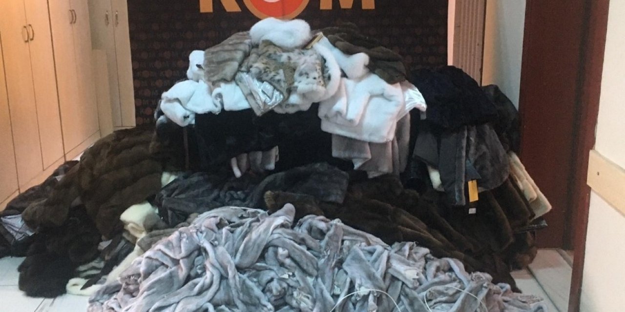 Keşan’da kaçak kürk ve post operasyonu
