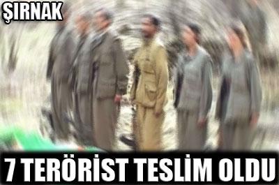 Şırnak'ta 7 terörist teslim oldu