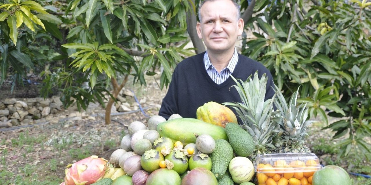 Tropikal meyveler yok satıyor