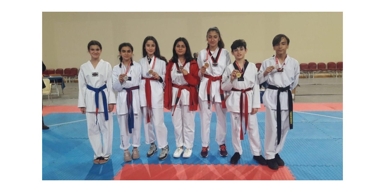 Okullar arası Yıldızlar Taekwondo İl Birinciliği müsabakaları tamamlandı