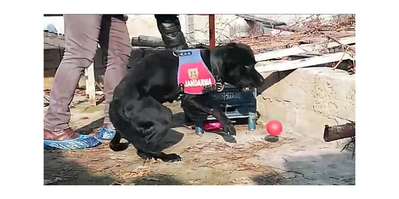 Uyuşturucu operasyonunda yakalanan şüpheli tutuklandı