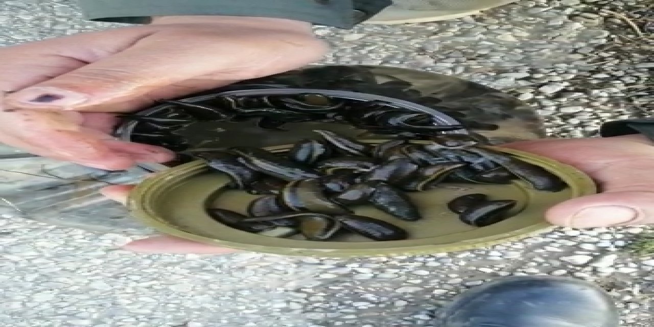 Beyşehir Gölü'nde yasa dışı sülük avına 73 bin lira ceza