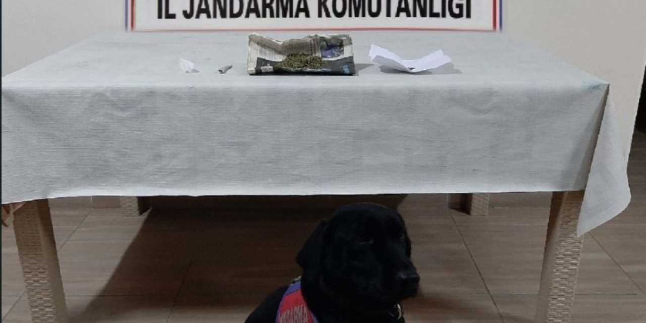 Narkotik köpeği Perma uyuşturucuyu yakaladı