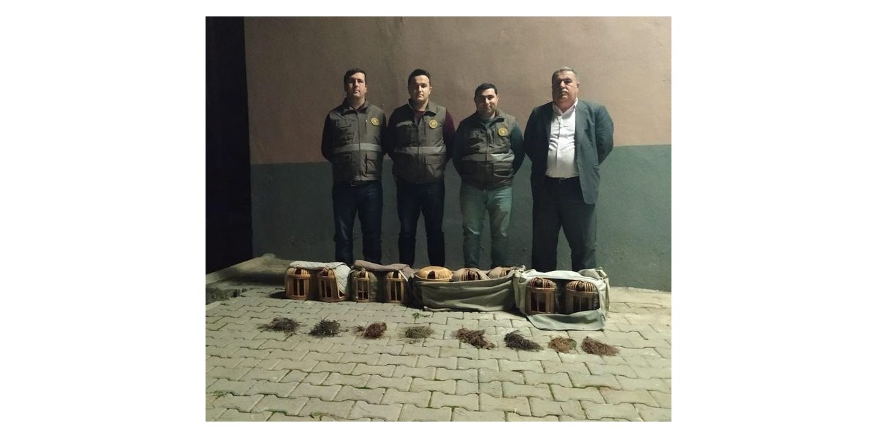 Şanlıurfa’da kaçak avlanmış 9 kınalı keklik ele geçirildi