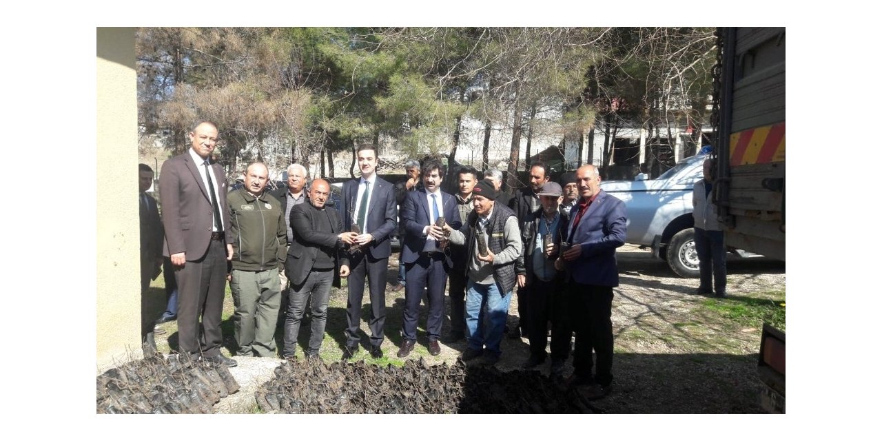 Sumak fidanı dağıtıldı