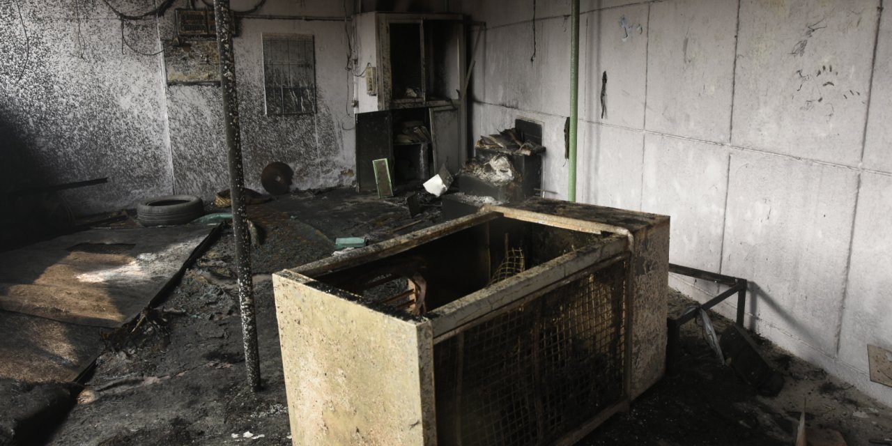 Yeni Delhi'de vatandaşlık yasasına karşı protestolarda 4 günde 20 kişi öldü