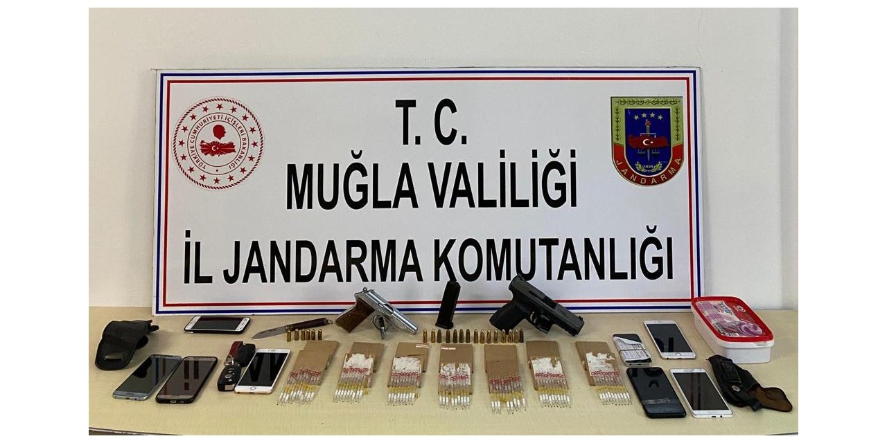 Muğla'da 71 tüp yılan zehri ele geçirildi