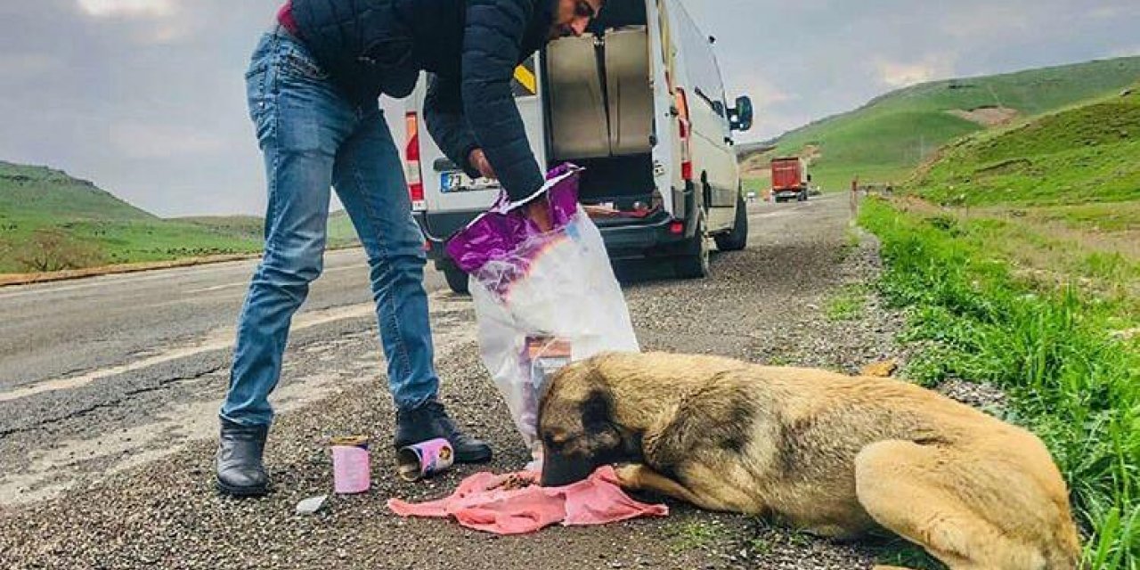 Cizreli servis şoförü maaşının bir bölümünü sokak hayvanlarına harcıyor