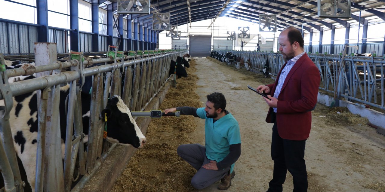 Öğretim üyeleri "Çiftlik İzleme Yönetim Sistemi" yazılımı geliştirdi