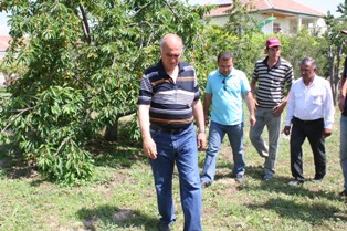 10. Geleneksel Beyaz Kiraz Festivali