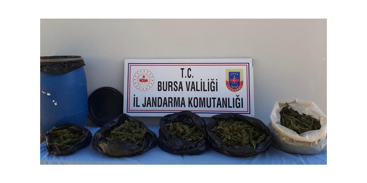 Bursa’da ormanda toprağa gömülmüş halde 5 kilo esrar bulundu