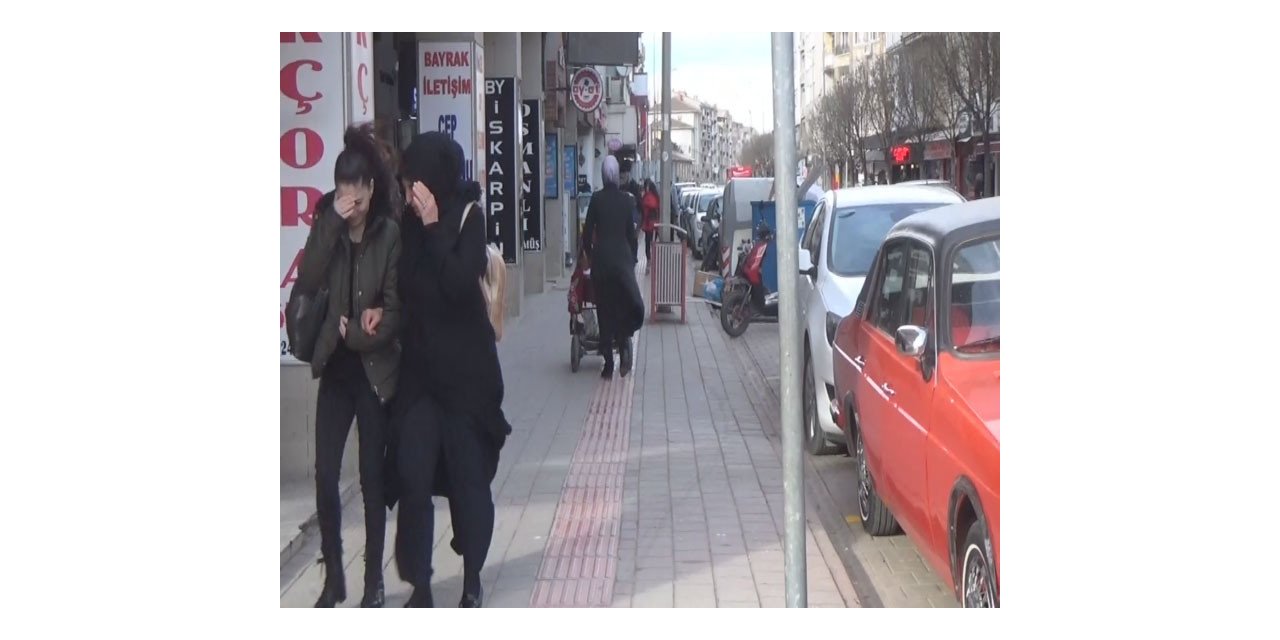 Lodos hayatı felç etti