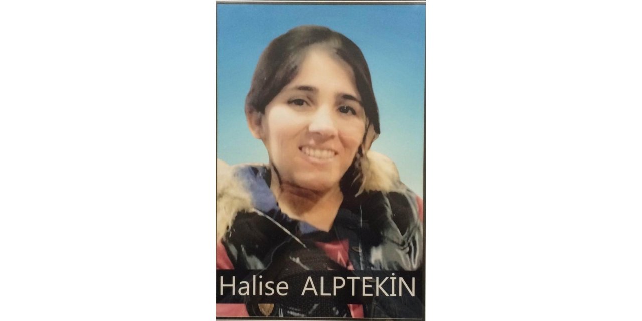 Jandarma ikna etti, kadın terörist teslim oldu
