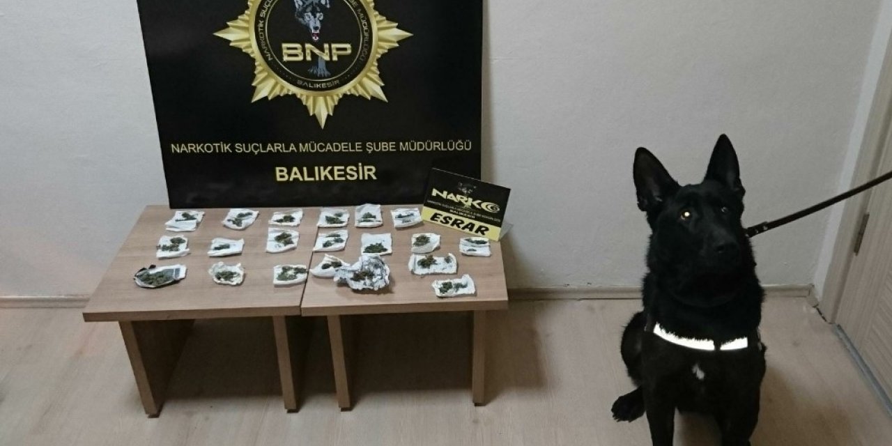 Dedektör köpek Baht’dan bingo