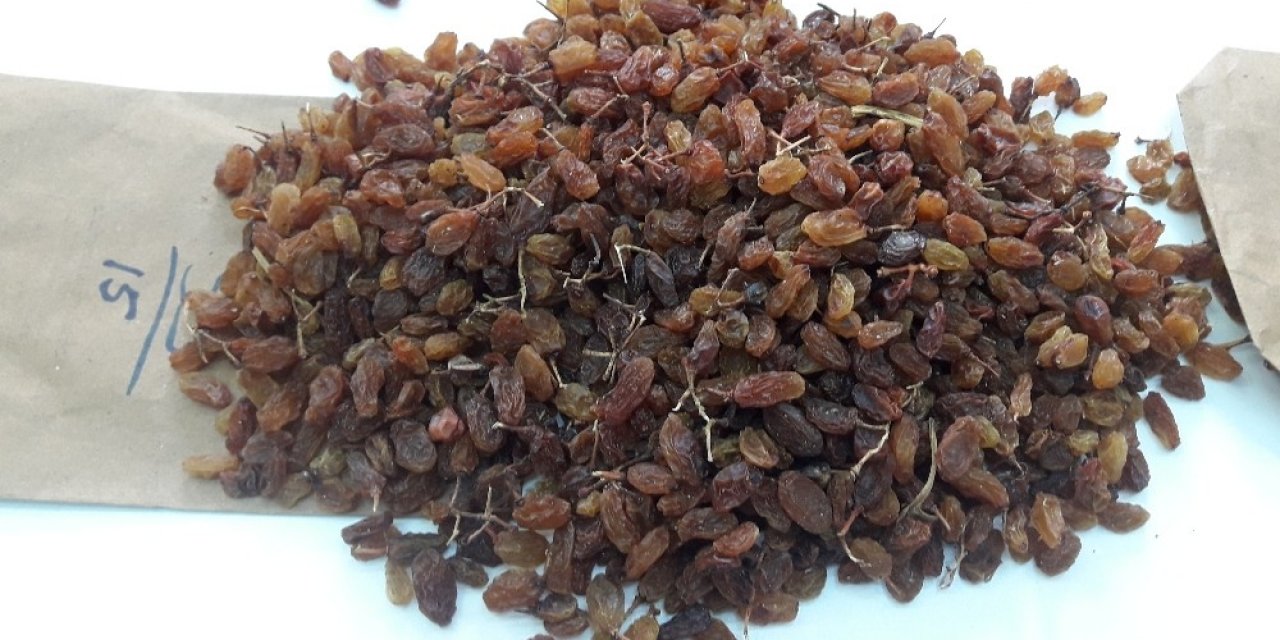 Üzümde ürün çeşitliliği rekabetçiliği arttıracak