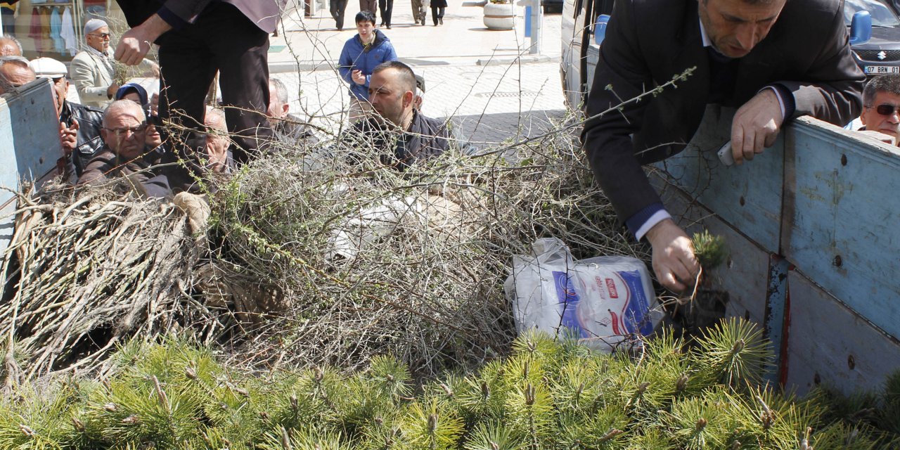 Beypazarı'nda fidan dağıtımı