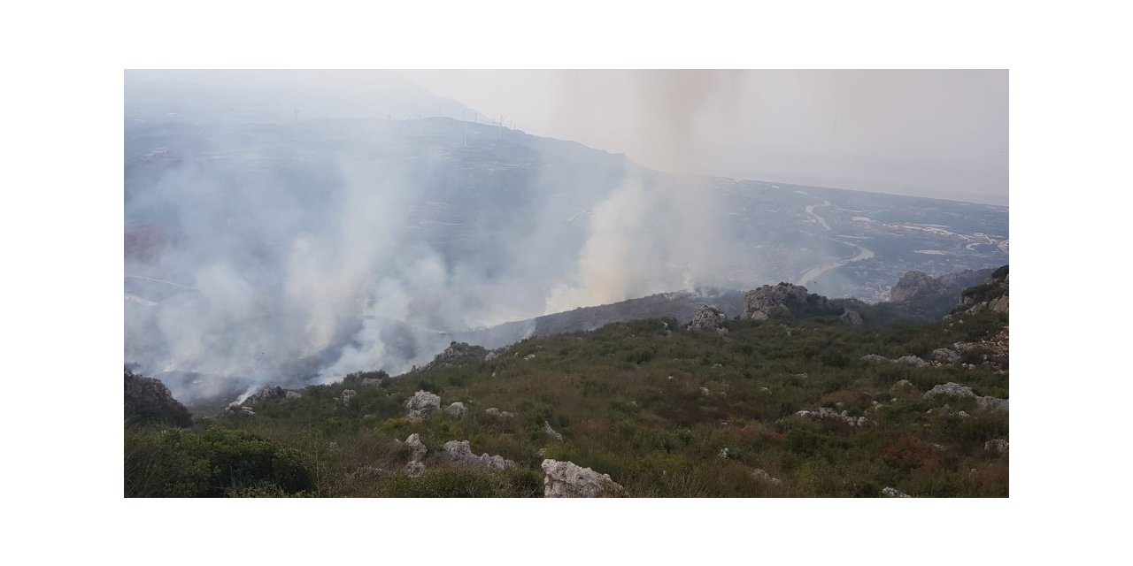 Samandağ’da otluk alanda yangın