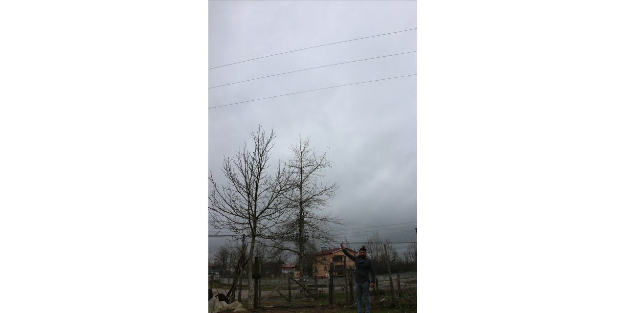 Samsun'da elektrik akımına kapılan baba ile oğlu yaralandı