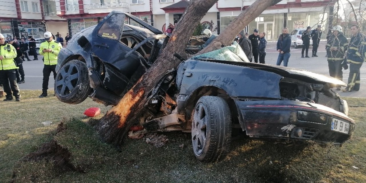 Refüje çıkan otomobil, ağacı yerinden söktü: 2 ölü, 1 ağır yaralı