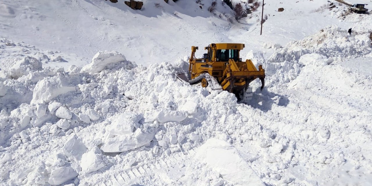 Van'da çığ nedeniyle kapanan yol açıldı