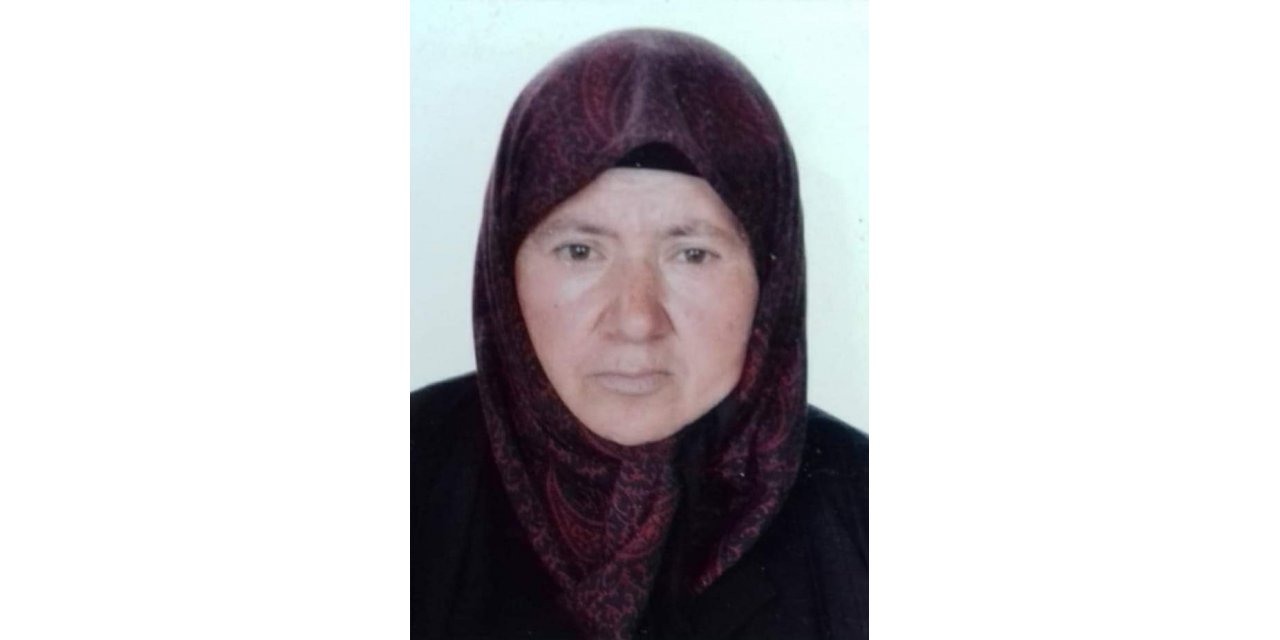 5 çocuk annesi kayıplara karıştı