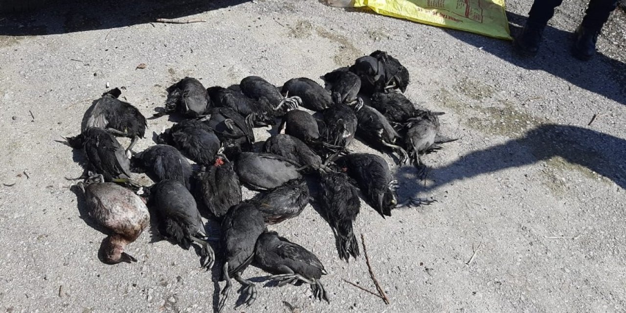 Sapanca Gölü’nde onlarca kuşu öldüren kaçak avcılar suçüstü yakalandı