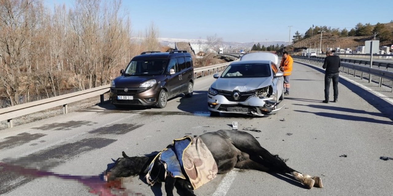 Karayoluna çıkması sonu oldu