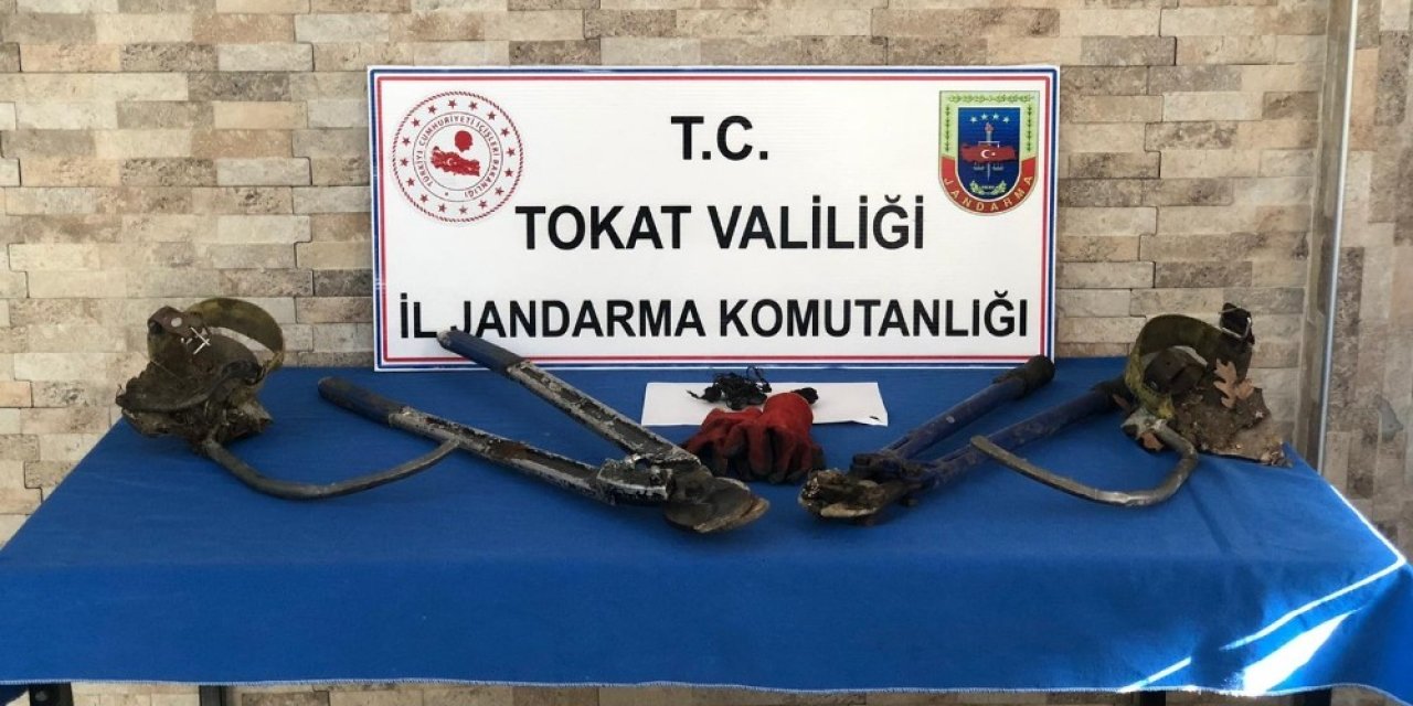 Direklere tırmanıp çaldılar