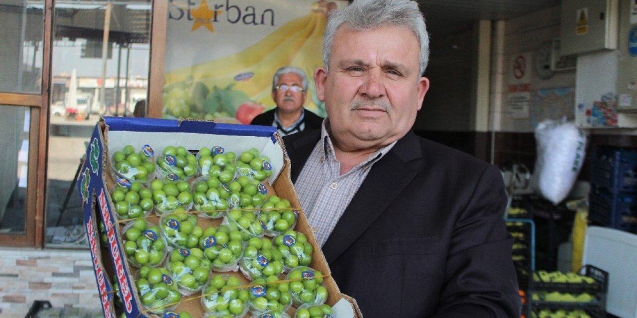 Turfanda erik cep yakıyor