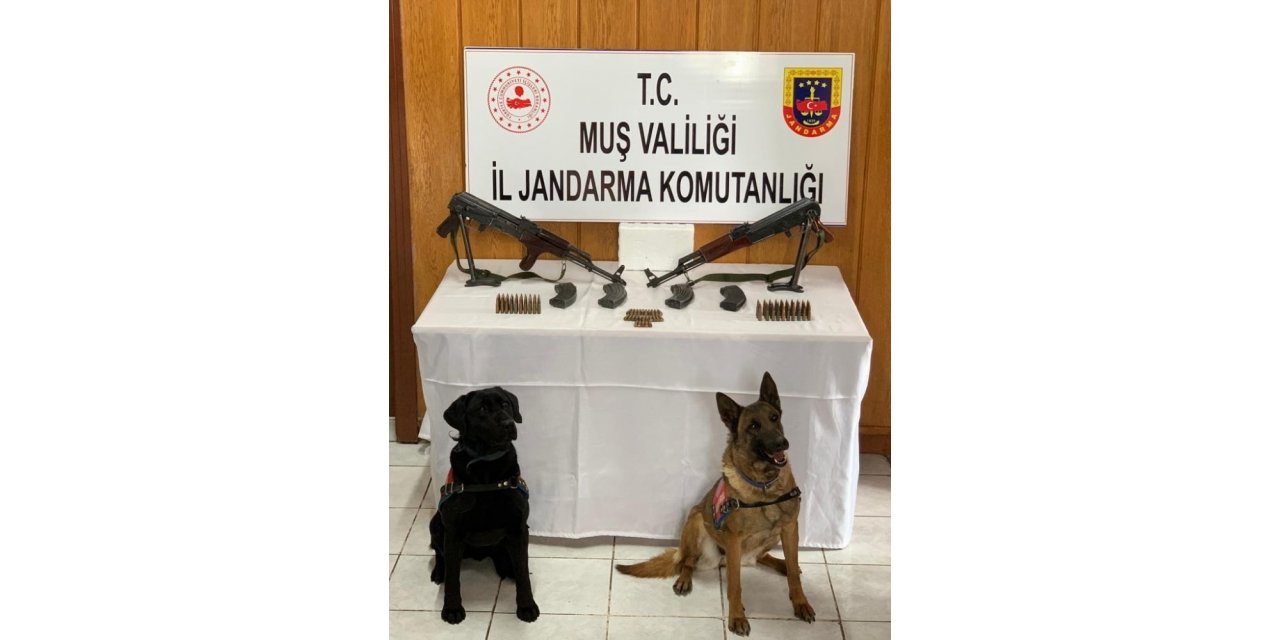 Muş’ta silah ve mühimmat kaçakçılarına operasyon