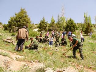 Kulu'da fidanlar toprakla buluştu