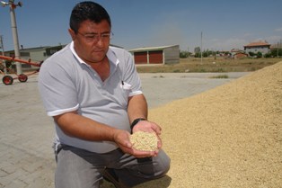 Emirgazi'de süne çalışması