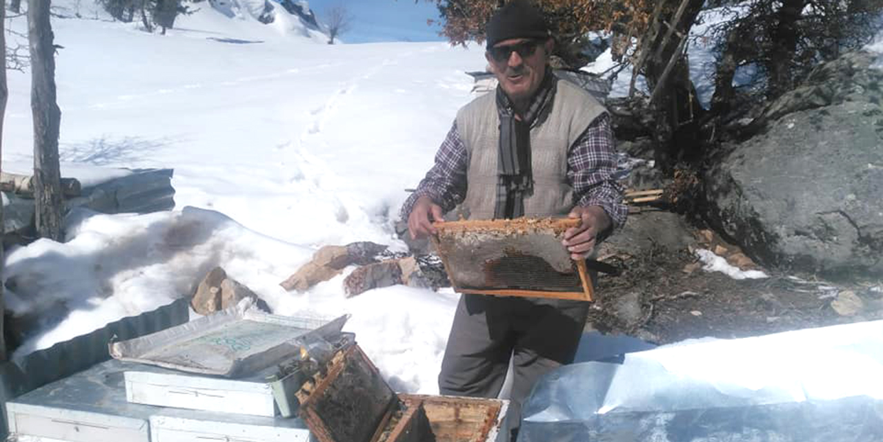 Hadimli arıcılar bahar bakımına başladı