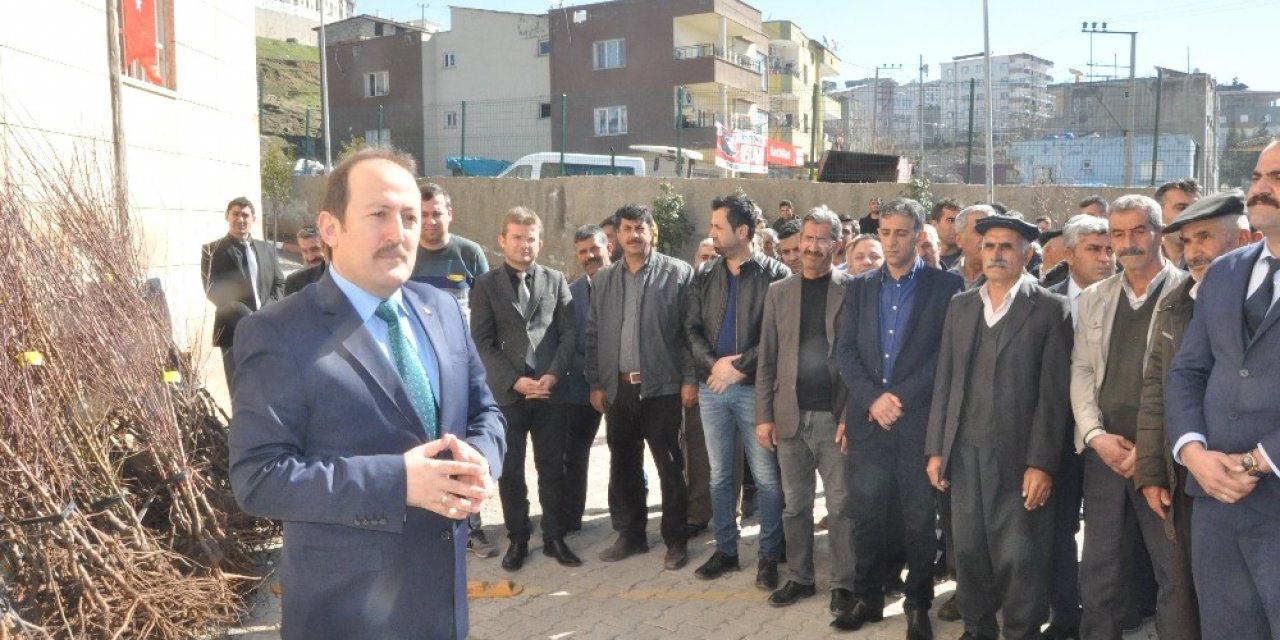Şırnak’ta çiftçilere 27 bin 700 adet meyve fidanı fidan dağıtıldı