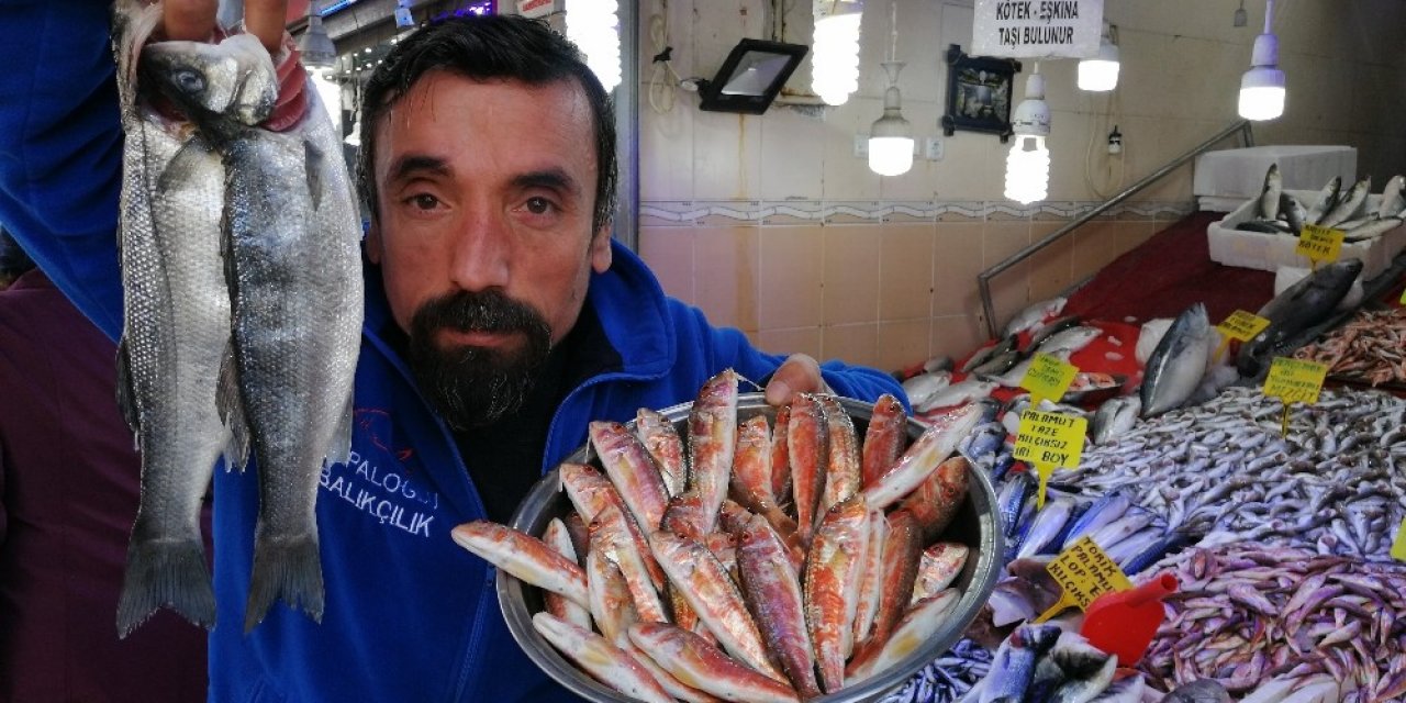 Sıcak havalar balık fiyatlarını düşürdü