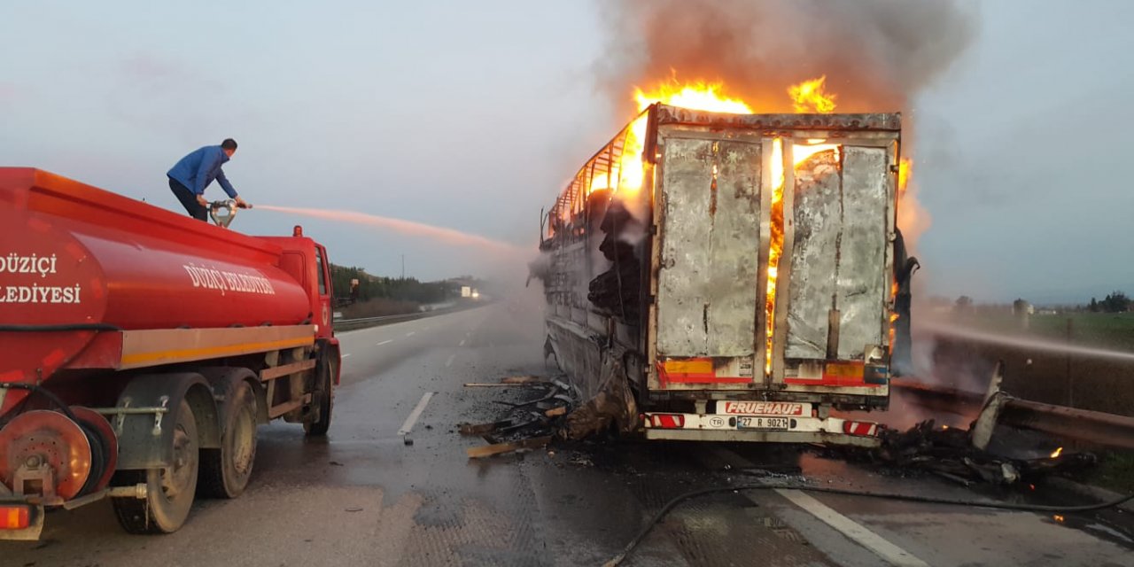 Osmaniye'de halı yüklü tırın dorsesi yandı