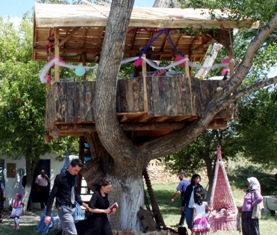 Asırlık kavak ağacında nikah