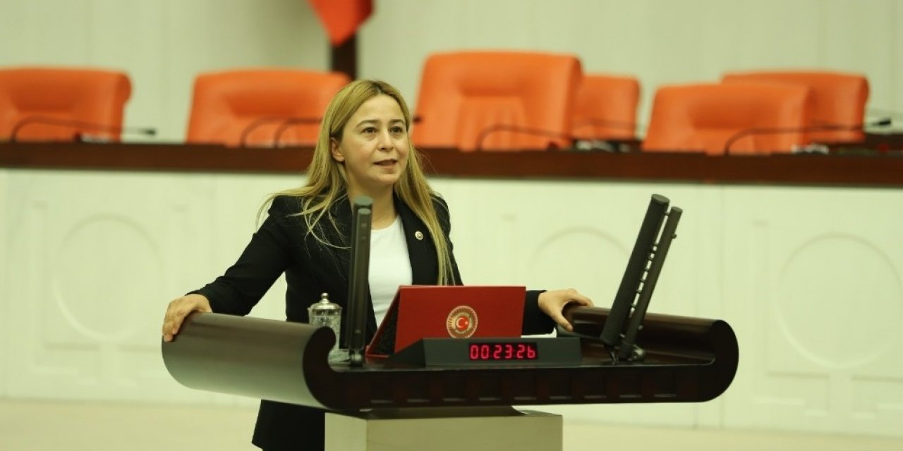MHP’li Esin Kara: Sözleşmeli Devlet Tiyatroları personeli kadroya alınmalı