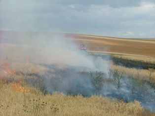 Emirgazi'de 400 dekar alan yandı