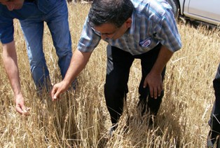Sarayönü'nde hasar tespit çalışmaları