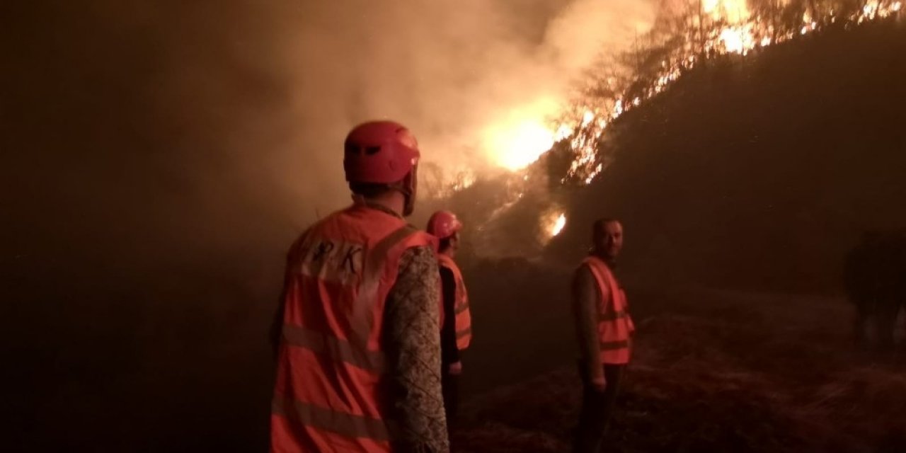 Arhavi’deki orman yangını kontrol altına alındı