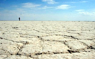 Tuz Gölü Havzası'nda bio çeşitlilik