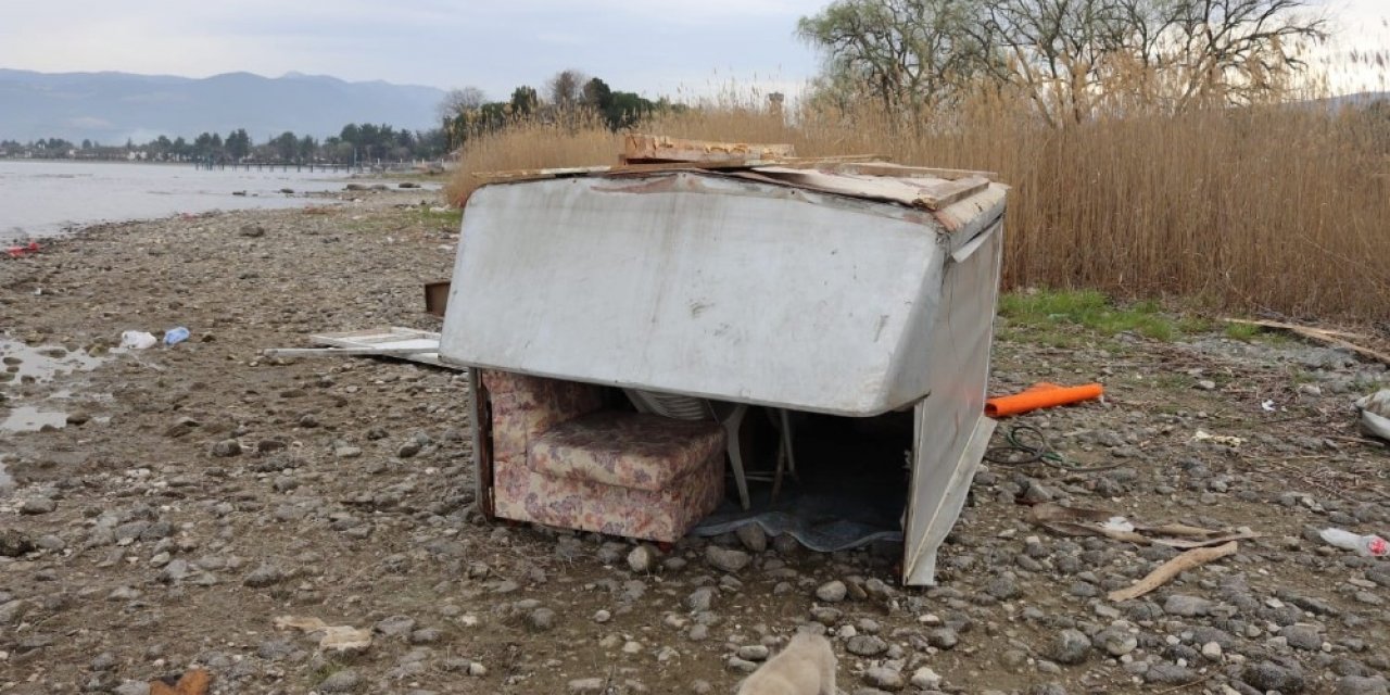 Tarla faresi yakalandı