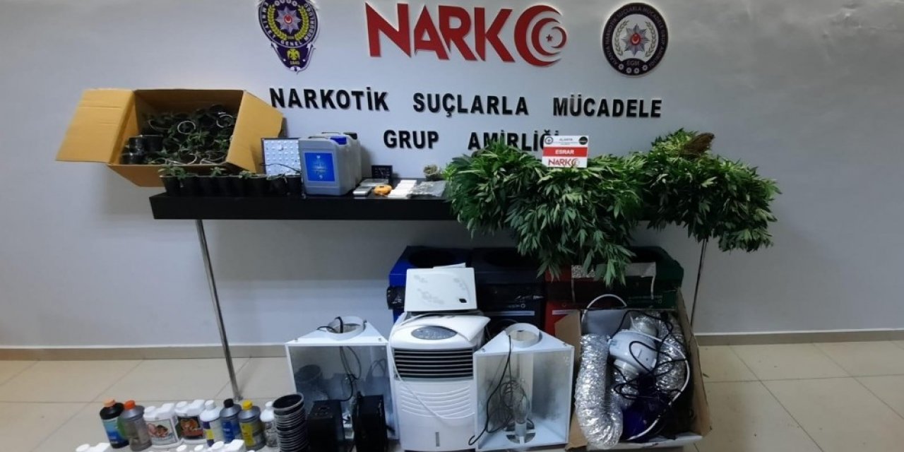 Lüks villayı uyuşturucu serasına çevirmişler