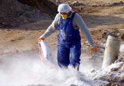 Kuş gribinde korkunç iddia!