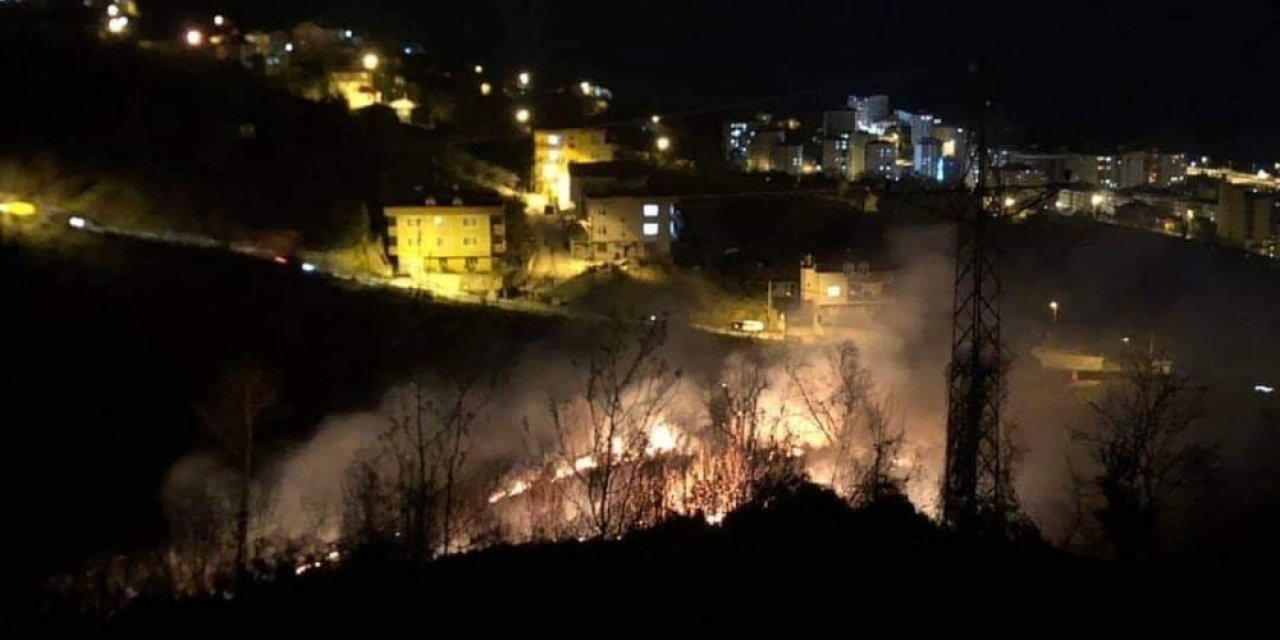 Giresun’da ormanlık alanda yangın